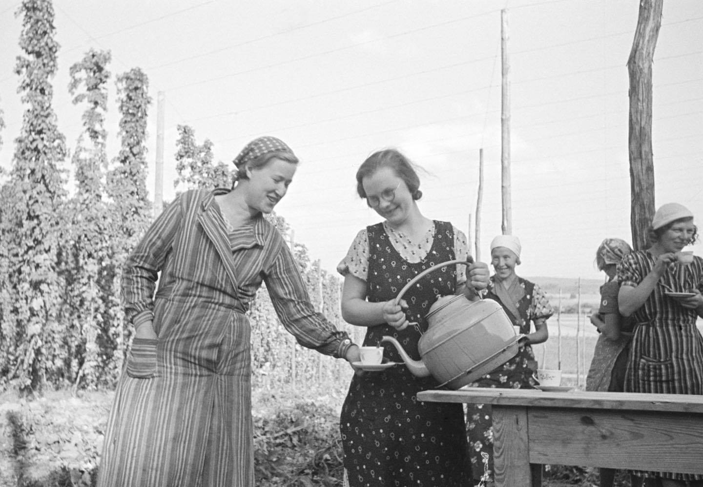 Kaffepaus humleplockning i närheten av Näsum, Skåne en sensommardag 1937 NM.jpg